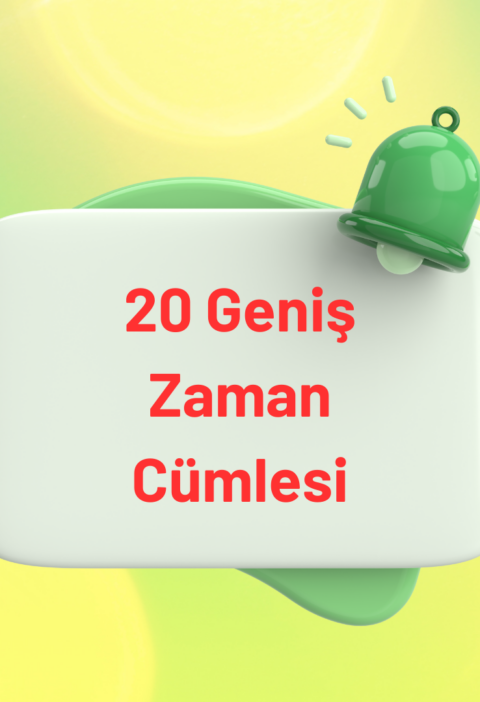 20 geniş zaman cümlesi